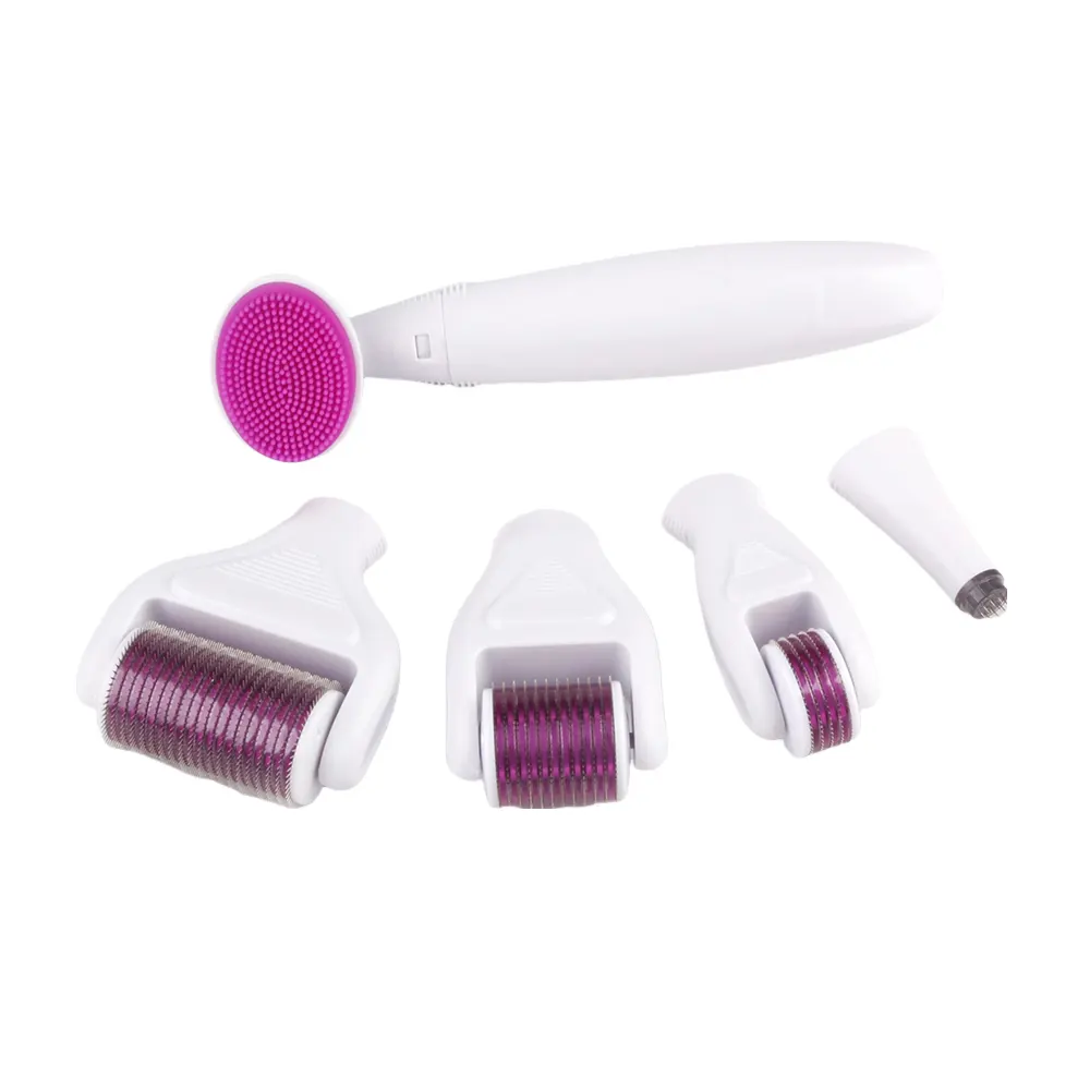 Derma roller 6 in 1